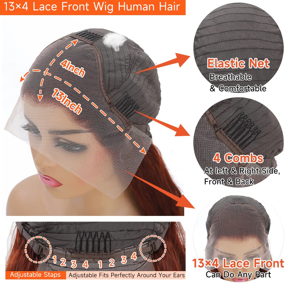 Reddish Brown Lace Front Wigs Human Hair Pre Plucked 13x4 Auburn Colored Human Hair Lace Front Wigs Body Wave Glueless Wigs Human Hair HD Lace Frontal Human Hair Wig 22 Inch - Image 6